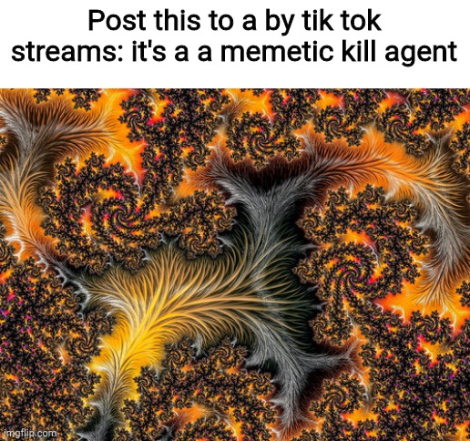 Memeatic kill agent | Post this to a by tik tok streams: it's a a memetic kill agent | image tagged in memeatic kill agent | made w/ Imgflip meme maker