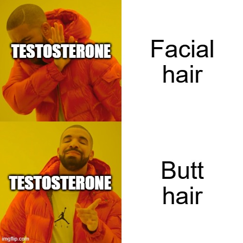 True that | Facial hair; TESTOSTERONE; Butt hair; TESTOSTERONE | image tagged in memes,drake hotline bling | made w/ Imgflip meme maker