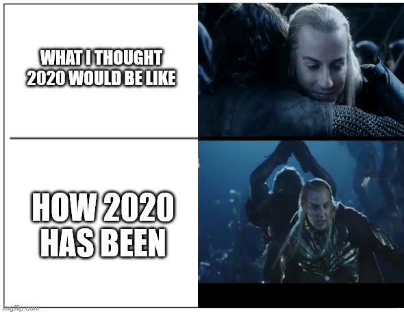 2020 in a nutshell | WHAT I THOUGHT 2020 WOULD BE LIKE; HOW 2020 HAS BEEN | image tagged in lotr | made w/ Imgflip meme maker