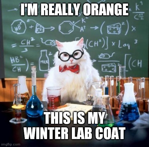 Chemistry Cat Meme | I'M REALLY ORANGE; THIS IS MY WINTER LAB COAT | image tagged in memes,chemistry cat | made w/ Imgflip meme maker