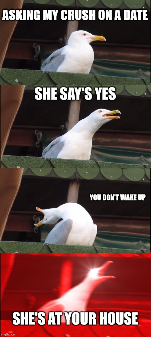 Pigeon Crush | ASKING MY CRUSH ON A DATE; SHE SAY'S YES; YOU DON'T WAKE UP; SHE'S AT YOUR HOUSE | image tagged in memes,inhaling seagull | made w/ Imgflip meme maker