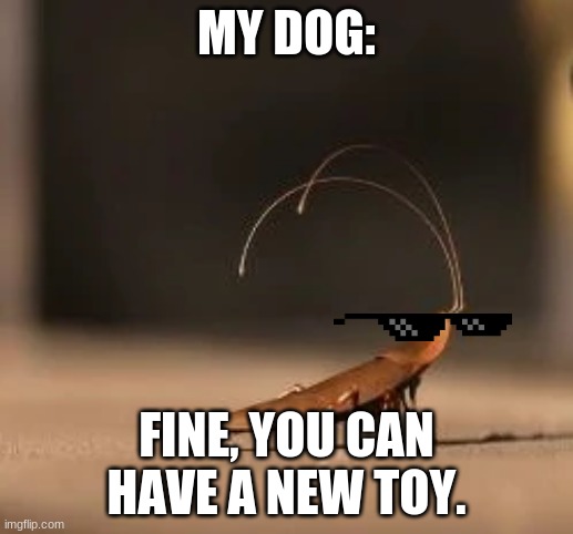 Wall-e | MY DOG:; FINE, YOU CAN HAVE A NEW TOY. | image tagged in wall-e | made w/ Imgflip meme maker