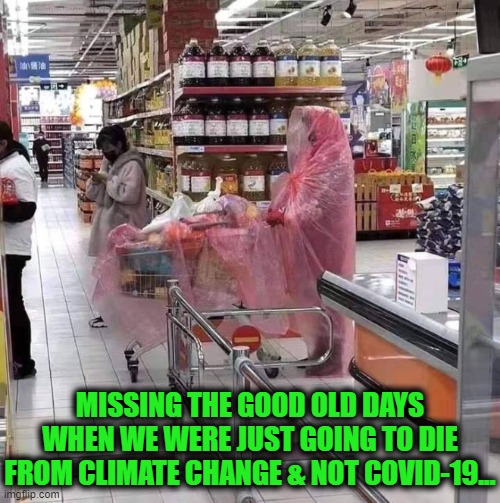 New (NOT) Normal? | MISSING THE GOOD OLD DAYS WHEN WE WERE JUST GOING TO DIE FROM CLIMATE CHANGE & NOT COVID-19... | image tagged in politics,political meme,politics lol,political humor,wtf,liberalism | made w/ Imgflip meme maker