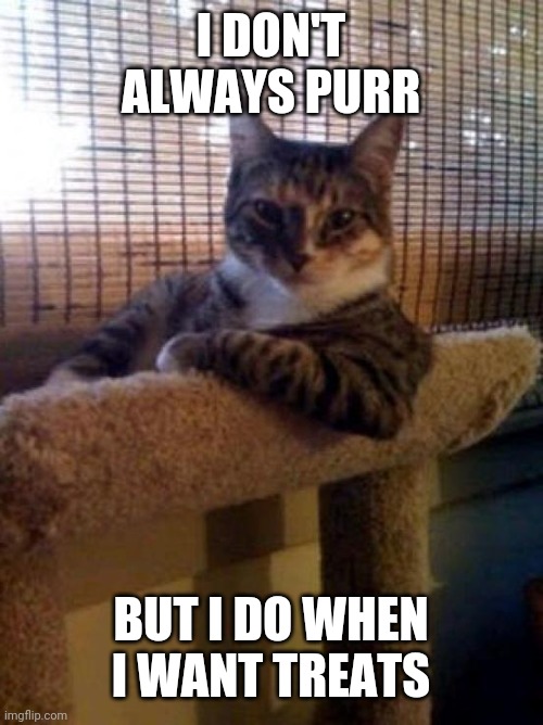 The Most Interesting Cat In The World Meme | I DON'T ALWAYS PURR; BUT I DO WHEN I WANT TREATS | image tagged in memes,the most interesting cat in the world | made w/ Imgflip meme maker