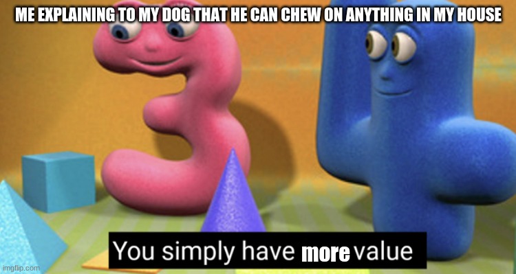 You simply have less value | ME EXPLAINING TO MY DOG THAT HE CAN CHEW ON ANYTHING IN MY HOUSE; more | image tagged in you simply have less value | made w/ Imgflip meme maker