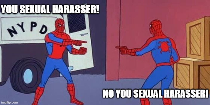 Spider Man Double | YOU SEXUAL HARASSER! NO YOU SEXUAL HARASSER! | image tagged in spider man double,memes | made w/ Imgflip meme maker