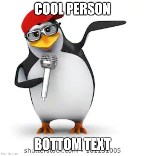 cool person | COOL PERSON; BOTTOM TEXT | image tagged in memes | made w/ Imgflip meme maker
