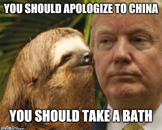 Political advice sloth | YOU SHOULD APOLOGIZE TO CHINA; YOU SHOULD TAKE A BATH | image tagged in political advice sloth | made w/ Imgflip meme maker