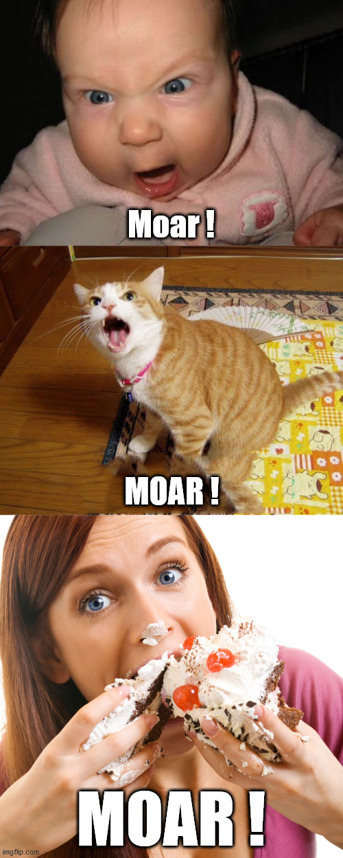 Moar ! MOAR ! MOAR ! | image tagged in memes,evil baby,moar cake,moar cat | made w/ Imgflip meme maker