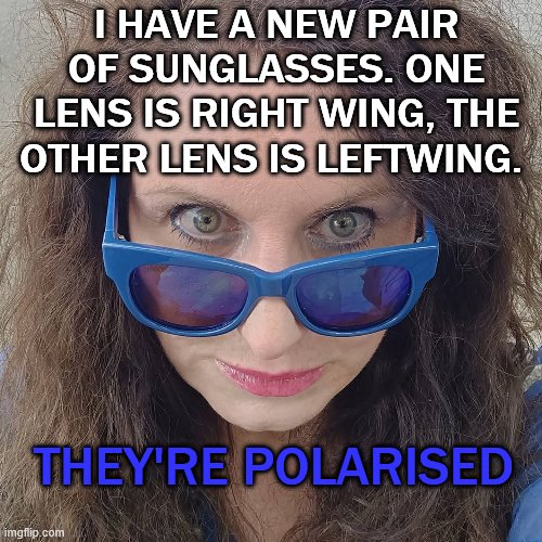Sunglasses Smartarse | I HAVE A NEW PAIR OF SUNGLASSES. ONE LENS IS RIGHT WING, THE OTHER LENS IS LEFTWING. THEY'RE POLARISED | image tagged in sunglasses,witty,satire,funny | made w/ Imgflip meme maker