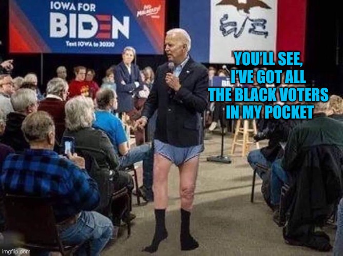 Joe Biden | YOU’LL SEE, 
I’VE GOT ALL 
THE BLACK VOTERS 
IN MY POCKET | image tagged in joe biden | made w/ Imgflip meme maker