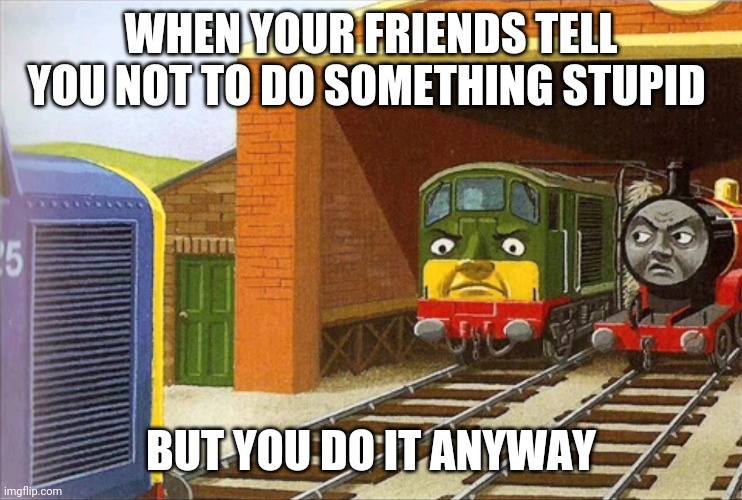 Thomas | WHEN YOUR FRIENDS TELL YOU NOT TO DO SOMETHING STUPID; BUT YOU DO IT ANYWAY | image tagged in thomas | made w/ Imgflip meme maker