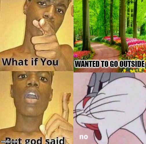 What if you wanted to go to Heaven | WANTED TO GO OUTSIDE | image tagged in what if you wanted to go to heaven | made w/ Imgflip meme maker