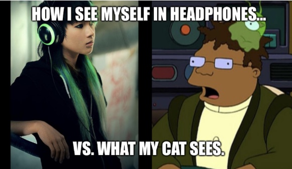 High Quality How I see myself in headphones vs. what the cat sees. Blank Meme Template