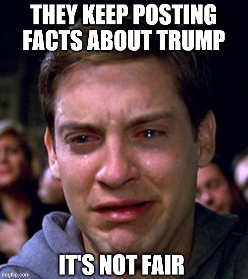 crying peter parker | THEY KEEP POSTING FACTS ABOUT TRUMP IT'S NOT FAIR | image tagged in crying peter parker | made w/ Imgflip meme maker