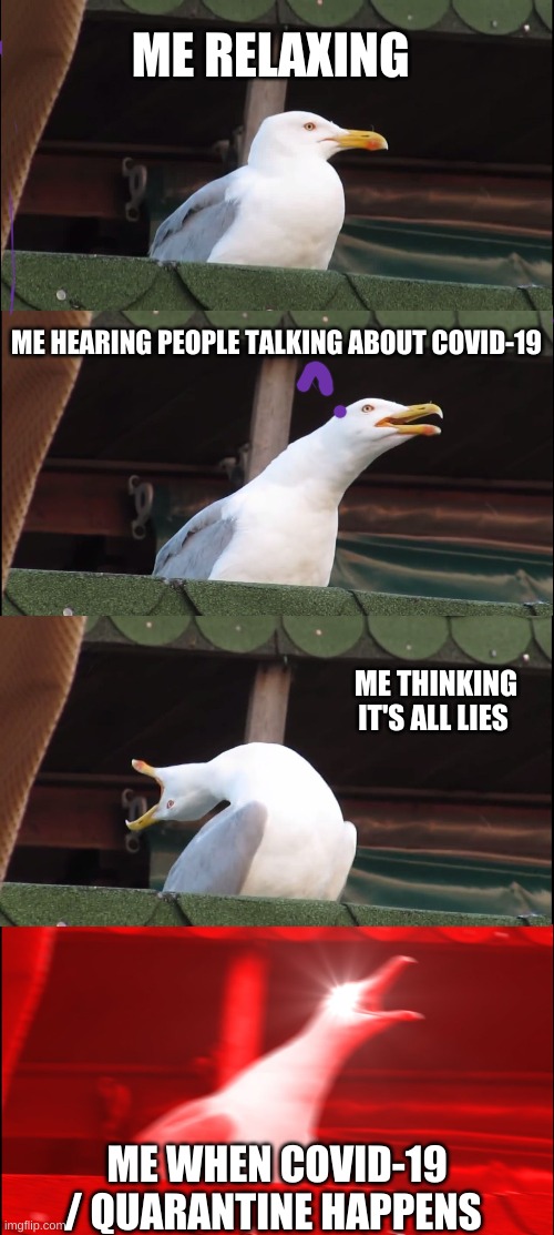 Inhaling Seagull | ME RELAXING; ME HEARING PEOPLE TALKING ABOUT COVID-19; ME THINKING IT'S ALL LIES; ME WHEN COVID-19 / QUARANTINE HAPPENS | image tagged in memes,inhaling seagull | made w/ Imgflip meme maker