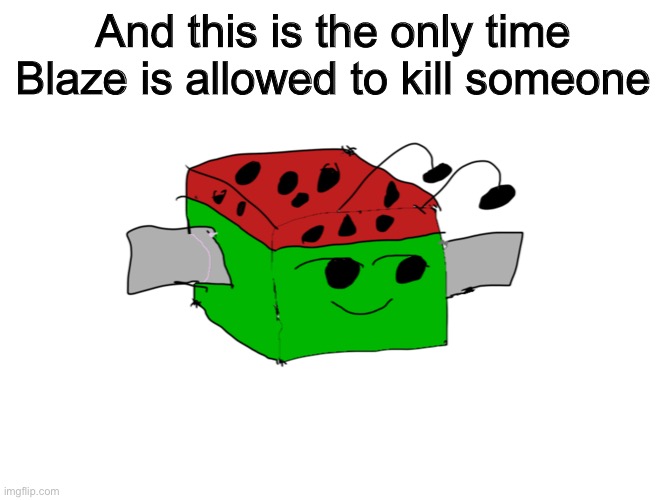 m | And this is the only time Blaze is allowed to kill someone | image tagged in melon | made w/ Imgflip meme maker