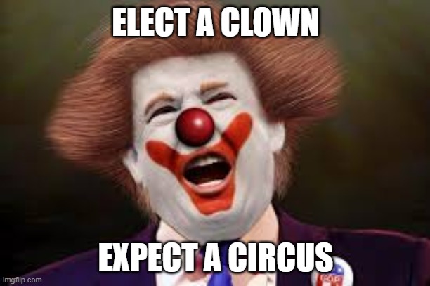 Trump clown | ELECT A CLOWN EXPECT A CIRCUS | image tagged in trump clown | made w/ Imgflip meme maker