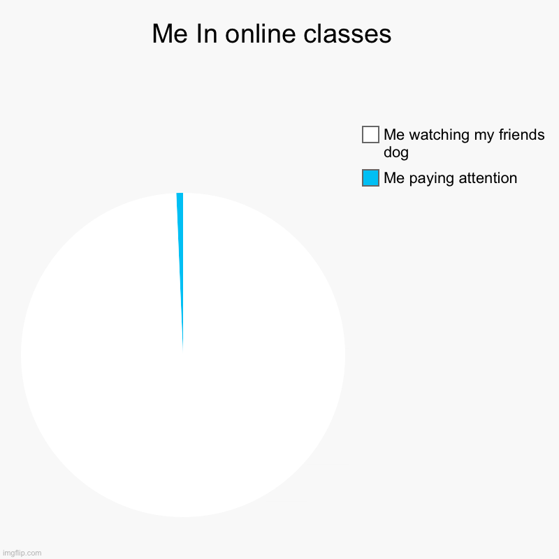 Online classes | Me In online classes  | Me paying attention, Me watching my friends dog | image tagged in charts,pie charts | made w/ Imgflip chart maker