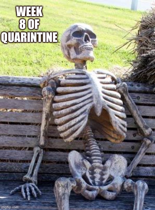 Quarintine in a nutshell | WEEK 8 OF QUARINTINE | image tagged in memes,waiting skeleton | made w/ Imgflip meme maker