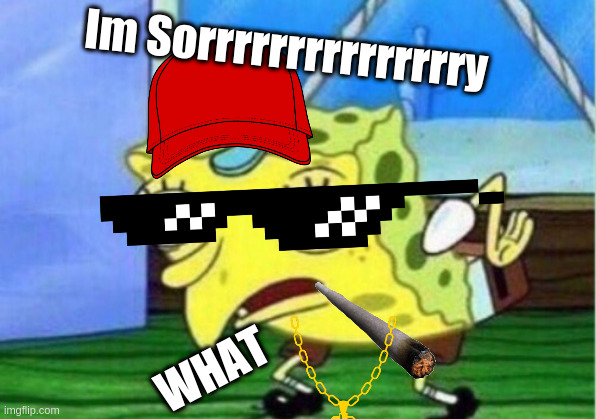Mocking Spongebob | Im Sorrrrrrrrrrrrrrry; WHAT | image tagged in memes,mocking spongebob | made w/ Imgflip meme maker