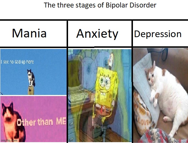 The three stages of bipolar | image tagged in hail pole cat,spongebob,sad cat | made w/ Imgflip meme maker