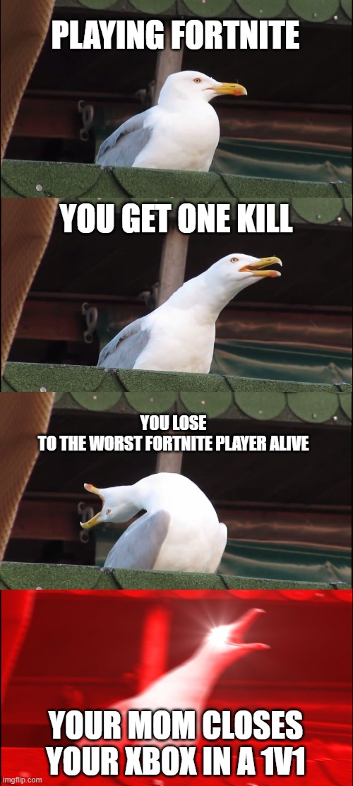 Inhaling Seagull Meme | PLAYING FORTNITE; YOU GET ONE KILL; YOU LOSE TO THE WORST FORTNITE PLAYER ALIVE; YOUR MOM CLOSES YOUR XBOX IN A 1V1 | image tagged in memes,inhaling seagull | made w/ Imgflip meme maker