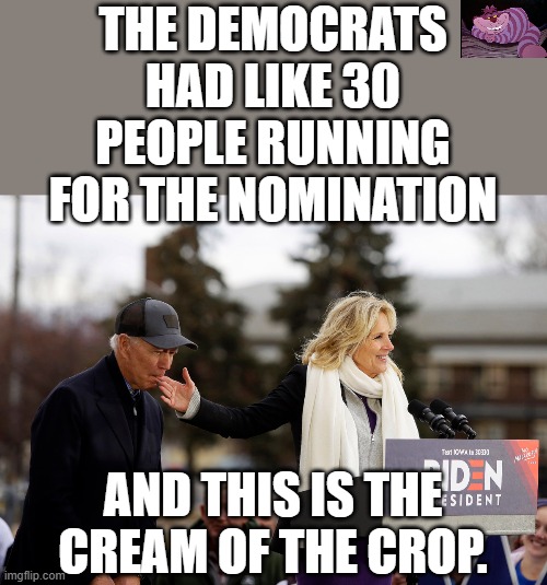 Makes you wonder, doesn't it? | THE DEMOCRATS HAD LIKE 30 PEOPLE RUNNING FOR THE NOMINATION; AND THIS IS THE CREAM OF THE CROP. | image tagged in biden sucking finger | made w/ Imgflip meme maker