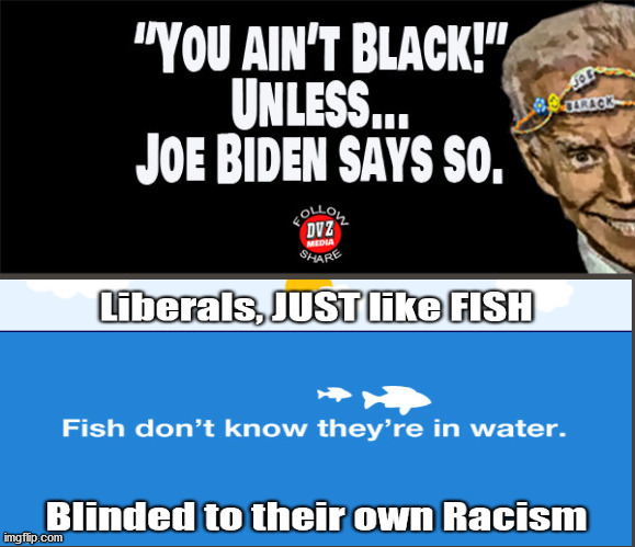 Biden, "you ain't black"...C'mon, Man! | image tagged in election,democrats,doa,trump2020,communist party | made w/ Imgflip meme maker
