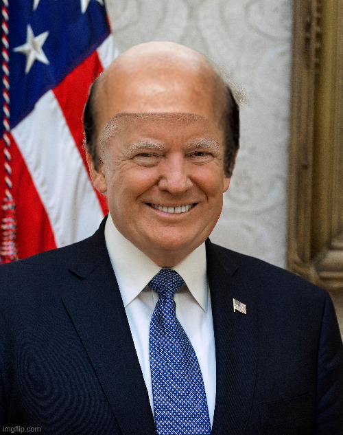 bald leader | image tagged in trump | made w/ Imgflip meme maker