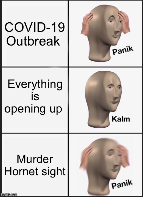 Panik Kalm Panik Meme | COVID-19 Outbreak; Everything is opening up; Murder Hornet sighting | image tagged in memes,panik kalm panik | made w/ Imgflip meme maker