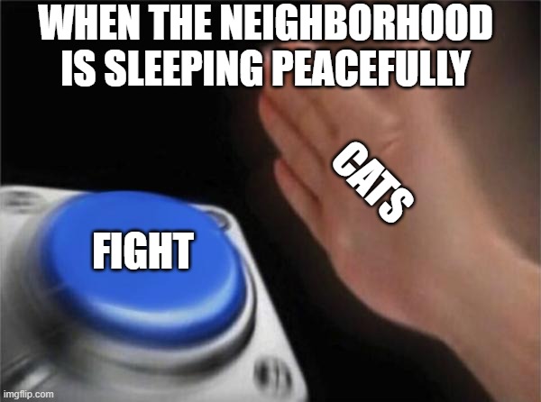 Blank Nut Button Meme | WHEN THE NEIGHBORHOOD IS SLEEPING PEACEFULLY; CATS; FIGHT | image tagged in memes,blank nut button | made w/ Imgflip meme maker