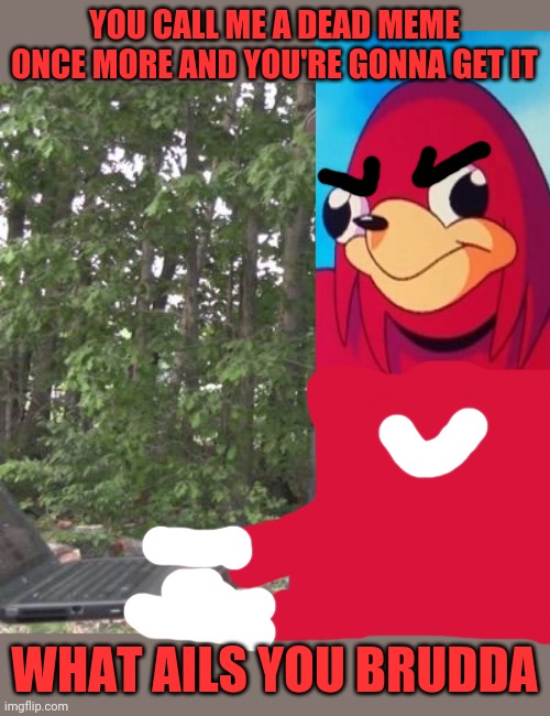 Psycho Dad |  YOU CALL ME A DEAD MEME ONCE MORE AND YOU'RE GONNA GET IT; WHAT AILS YOU BRUDDA | image tagged in psycho dad,ugandan knuckles,savage memes,dank memes,do you know da wae,memes | made w/ Imgflip meme maker