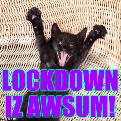 Happy cat  | LOCKDOWN IZ AWSUM! | image tagged in happy cat | made w/ Imgflip meme maker