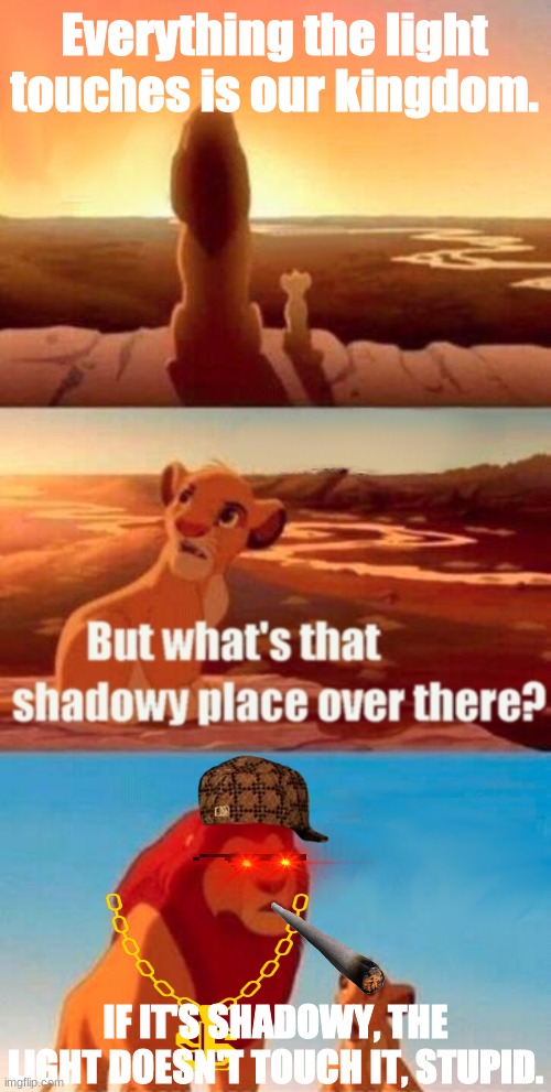 Simba be stupid | Everything the light touches is our kingdom. IF IT'S SHADOWY, THE LIGHT DOESN'T TOUCH IT, STUPID. | image tagged in memes,simba shadowy place | made w/ Imgflip meme maker