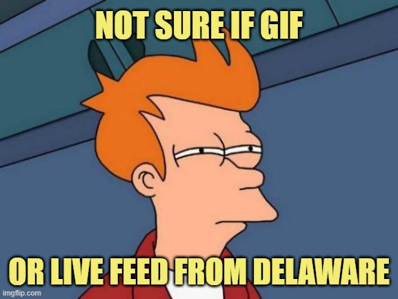 Futurama Fry Meme | NOT SURE IF GIF OR LIVE FEED FROM DELAWARE | image tagged in memes,futurama fry | made w/ Imgflip meme maker