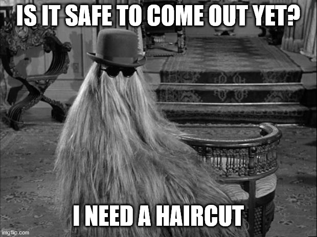 Need Haircut | IS IT SAFE TO COME OUT YET? I NEED A HAIRCUT | image tagged in cousin it | made w/ Imgflip meme maker