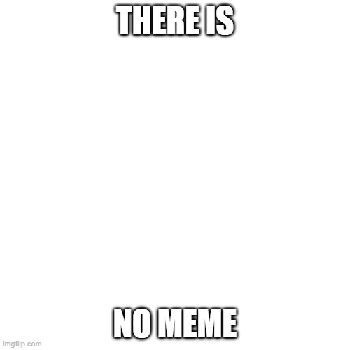 THERE IS; NO MEME | image tagged in irony,funny memes,dank memes,2020 | made w/ Imgflip meme maker