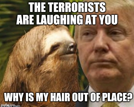 Political advice sloth | THE TERRORISTS ARE LAUGHING AT YOU; WHY IS MY HAIR OUT OF PLACE? | image tagged in political advice sloth | made w/ Imgflip meme maker