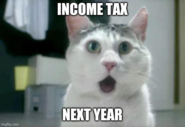 OMG Cat | INCOME TAX; NEXT YEAR | image tagged in memes,omg cat | made w/ Imgflip meme maker