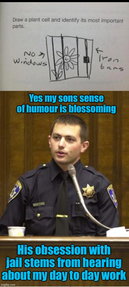 I’m rooting for this kid |  Yes my sons sense of humour is blossoming; His obsession with jail stems from hearing about my day to day work | image tagged in memes,police officer testifying,funny kids,test your stupidity,stable genius,flower power | made w/ Imgflip meme maker