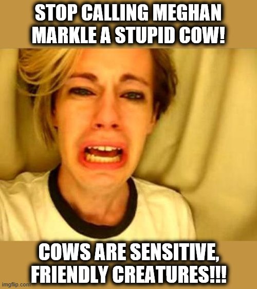 Ghetto and company ran up a $53 million tab before skipping from the UK! | STOP CALLING MEGHAN MARKLE A STUPID COW! COWS ARE SENSITIVE, FRIENDLY CREATURES!!! | image tagged in leave britney alone,meghan markle,stupid cow | made w/ Imgflip meme maker