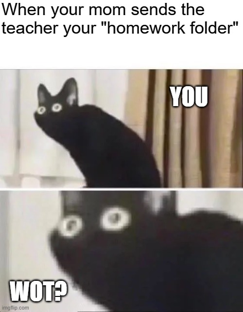 U wot m8? | When your mom sends the teacher your "homework folder"; YOU; WOT? | image tagged in oh no black cat | made w/ Imgflip meme maker