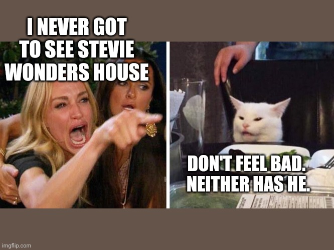 Smudge the cat | I NEVER GOT TO SEE STEVIE WONDERS HOUSE; DON'T FEEL BAD.  NEITHER HAS HE. | image tagged in smudge the cat | made w/ Imgflip meme maker