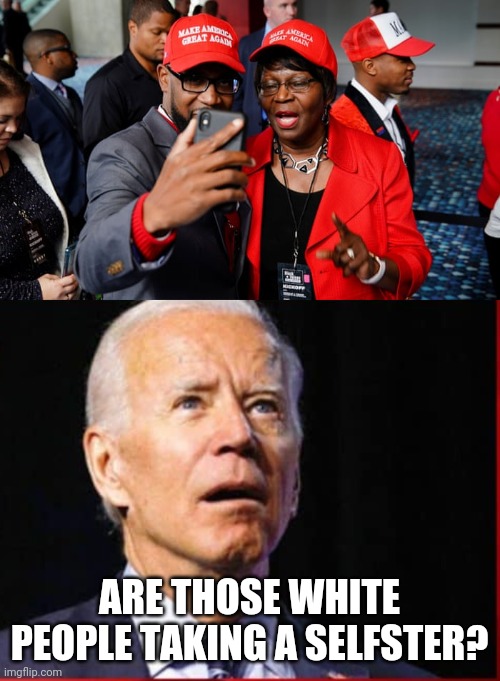 Confused Joe | ARE THOSE WHITE PEOPLE TAKING A SELFSTER? | image tagged in joe biden | made w/ Imgflip meme maker