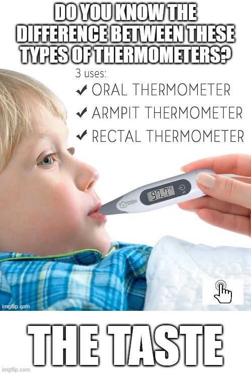 The Taste | DO YOU KNOW THE DIFFERENCE BETWEEN THESE TYPES OF THERMOMETERS? THE TASTE | image tagged in the taste | made w/ Imgflip meme maker