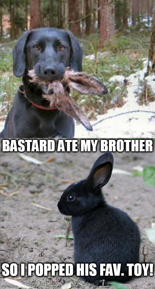 BASTARD ATE MY BROTHER SO I POPPED HIS FAV. TOY! | made w/ Imgflip meme maker