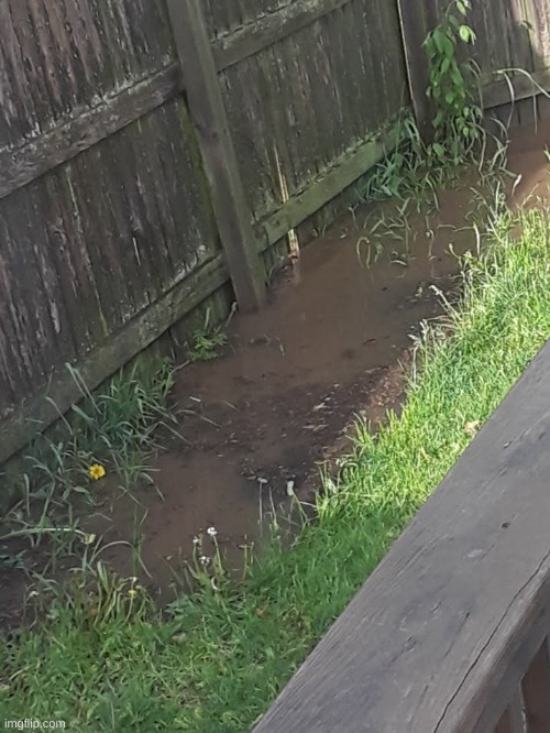 Do you think I watered it too much? | image tagged in floods,illinois,garden | made w/ Imgflip meme maker