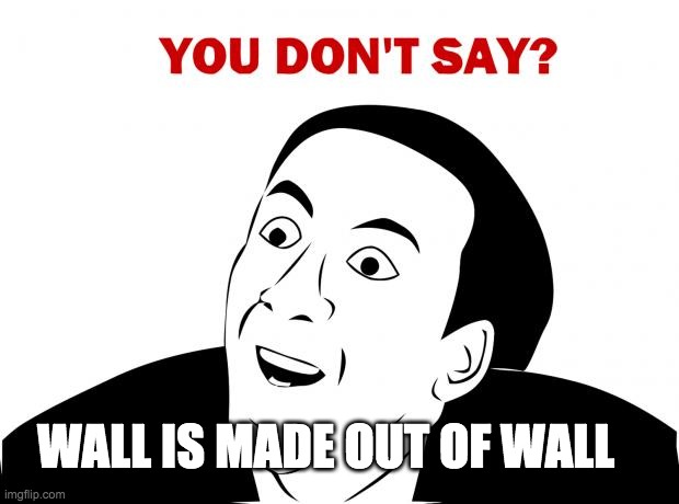 You Don't Say Meme | WALL IS MADE OUT OF WALL | image tagged in memes,you don't say | made w/ Imgflip meme maker