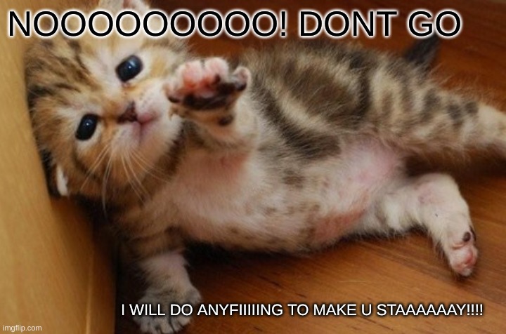 Cute kittens | NOOOOOOOOO! DONT GO; I WILL DO ANYFIIIIING TO MAKE U STAAAAAAY!!!! | image tagged in cute,kitten,begging,adorable | made w/ Imgflip meme maker